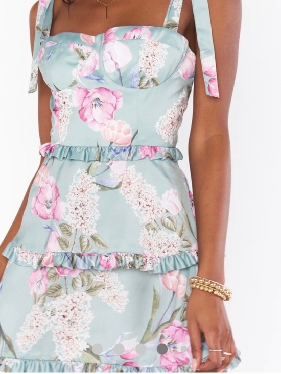 Show Me Your MuMu Dresses & Skirts - NWT SHOW ME YOUR MUMU Lady Corset Mini Dress Floral Coquette Garden Party L